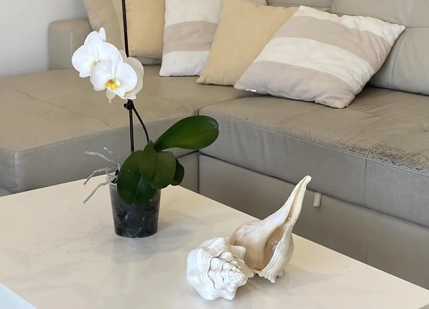 Apartmán El Velero Una Terraza Al Mar Calafell